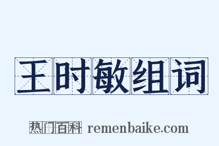 王时敏组词是什么意思的图片